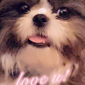 Meet your Posher, Ivy